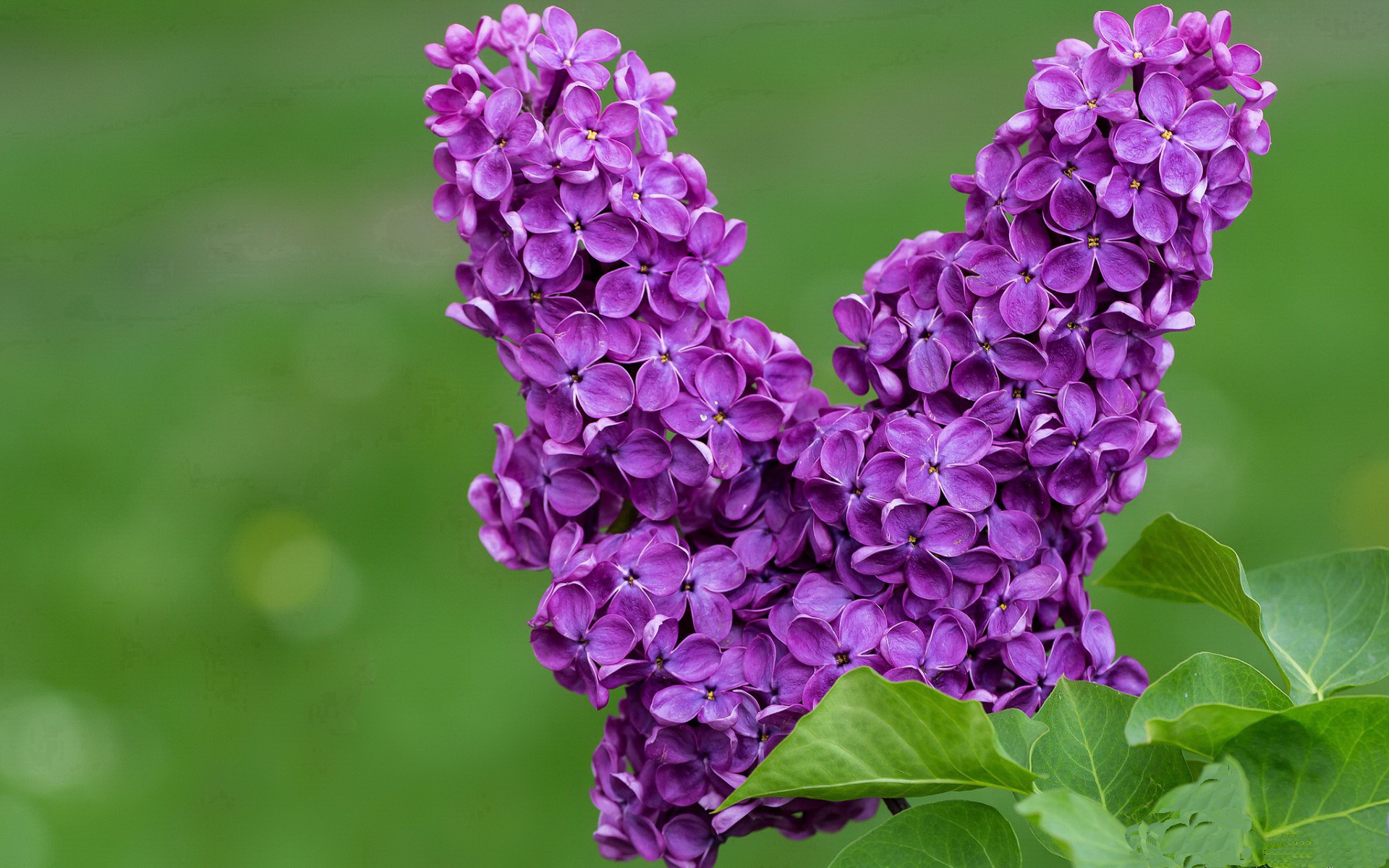 东南亚杯：小组赛战况激烈不容小觑，东南亚足球联赛