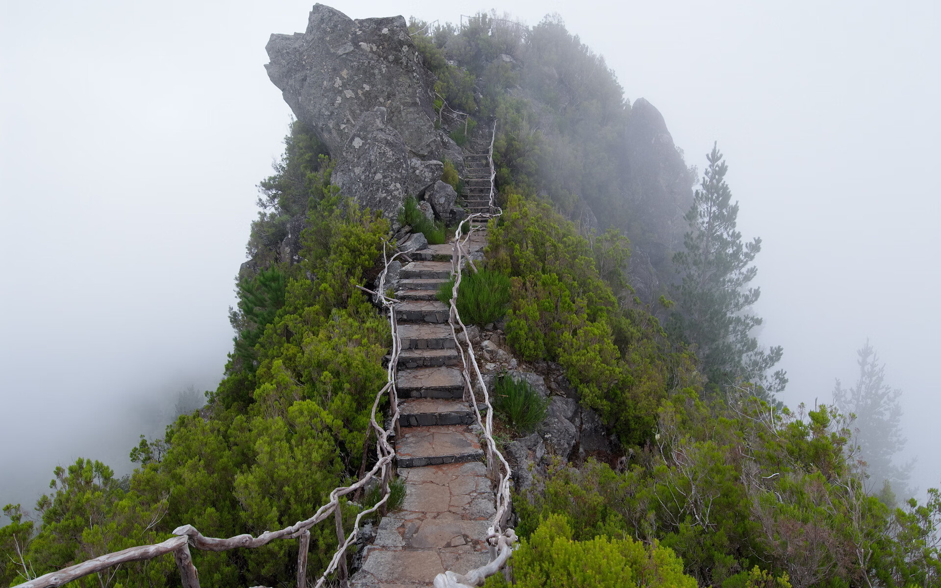 桑德兰后防防守密集，光明球场目标保级，桑德兰客场球衣