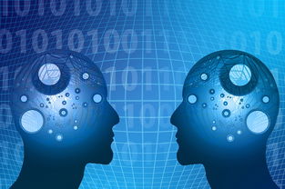 开云网页版-教学资源数字转型，数字化教学资源的生成与管理