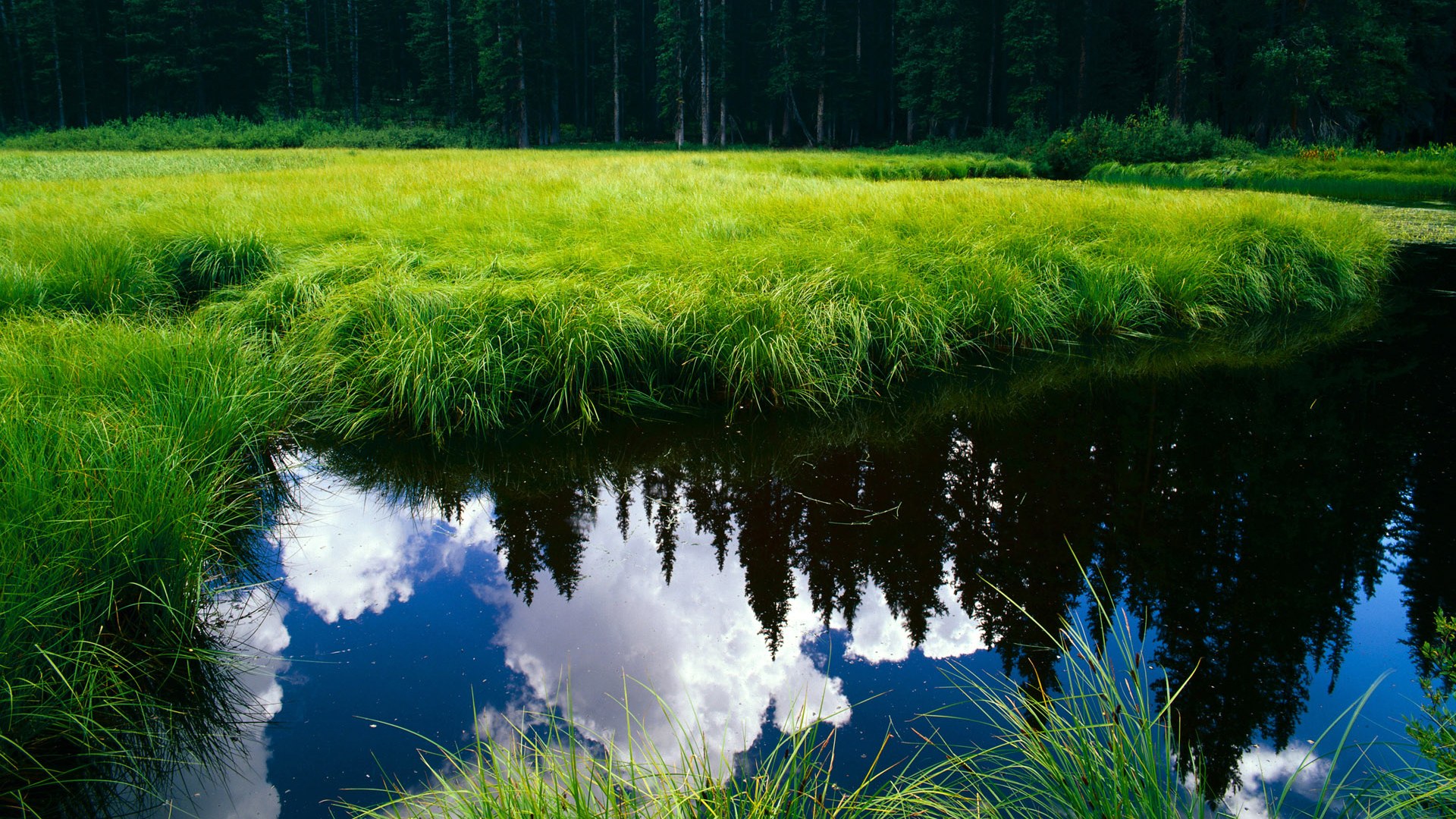 澳大利亚组合决赛精彩瞬间成为焦点,澳大利亚顶级联赛