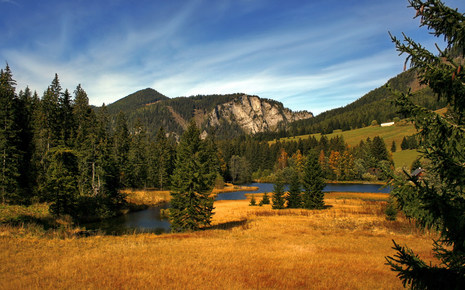 西甲闪耀世界杯：明星球员的巅峰之战，西甲足球明星