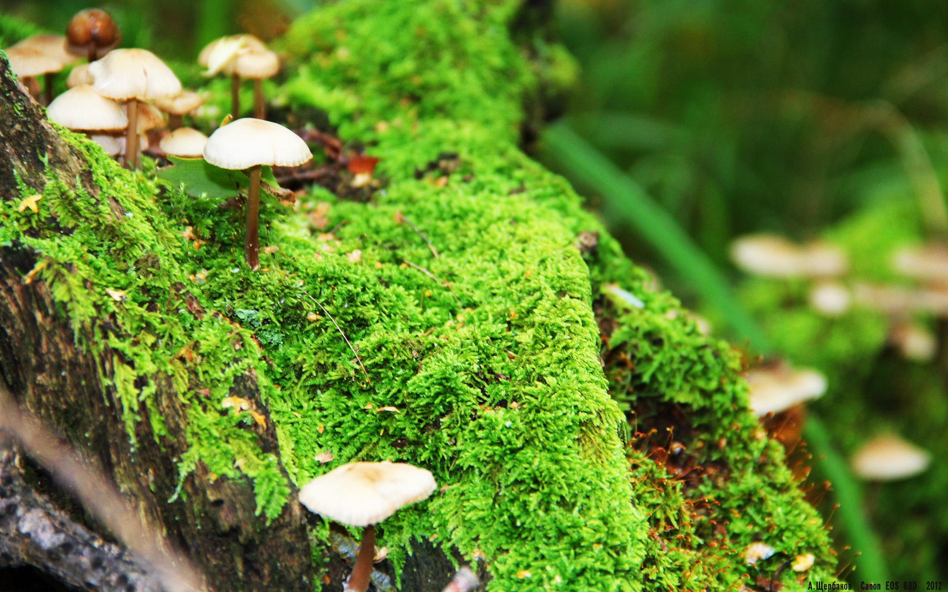 kaiyun官方入口登录-赛季目标清晰明确主教练强调稳扎稳打不轻视任何一个对手，赛季目标怎么写