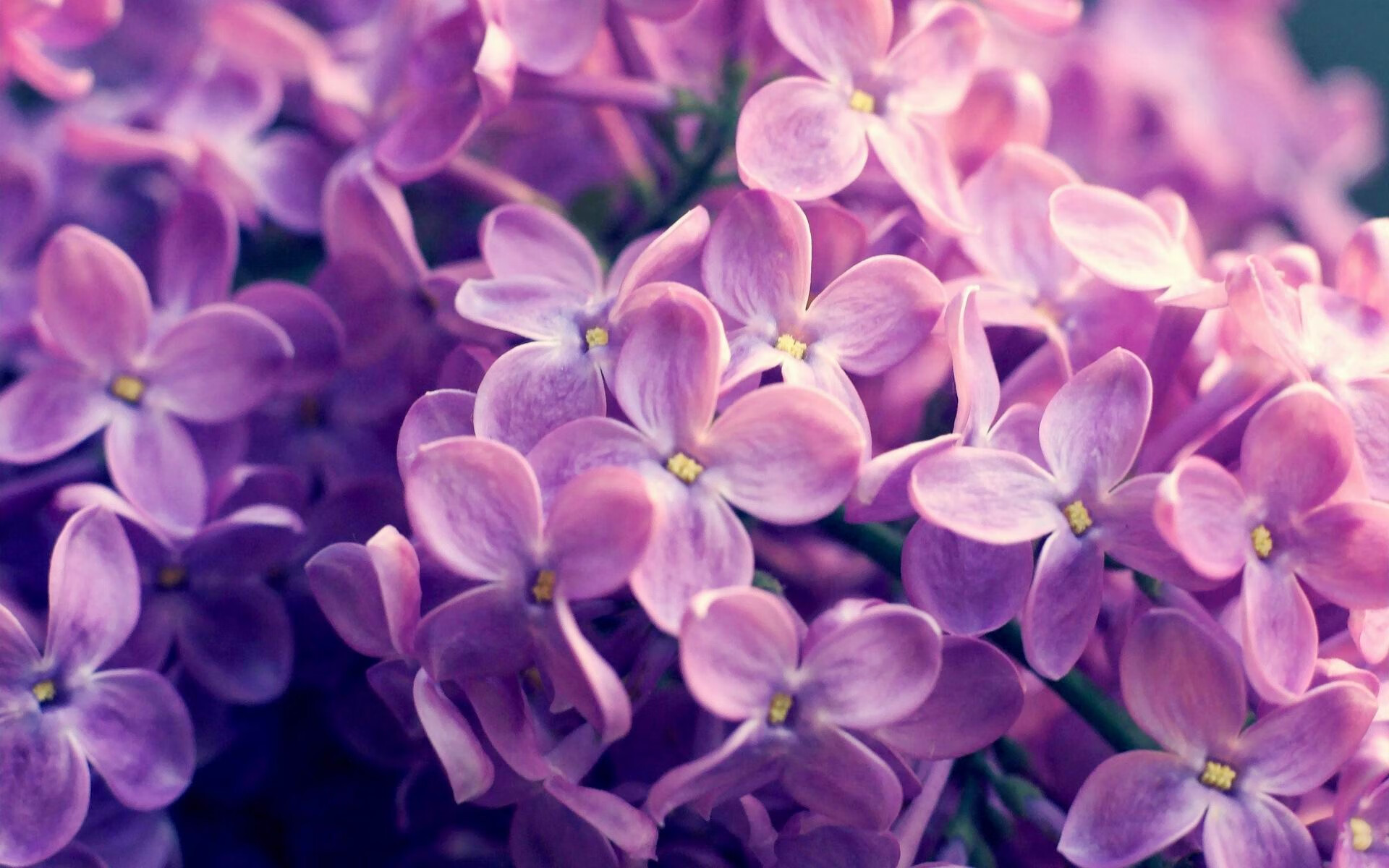 kaiyun.com-阿莱克西为美国蝶泳注入新活力，阿莱克斯wwe